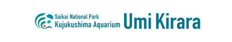Kujukushima Aquarium UmiKirara